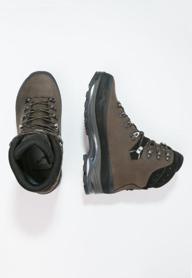 Lowa Tibet Gtx žygio Batai Sepia/juodi